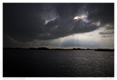 Impression from the Netherland