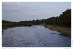 Impression from the Netherland