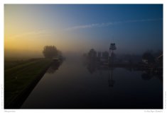 Morgentau