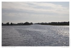 Impression from the Netherland