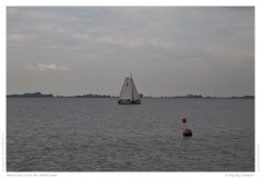 Impression from the Netherland