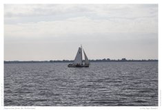 Impression from the Netherland