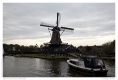 Impression from the Netherland