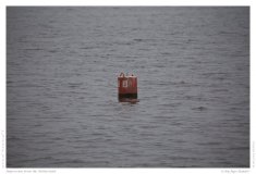 Impression from the Netherland