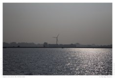 Impression from the Netherland