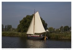 Impression from the Netherland