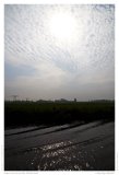Impression from the Netherland