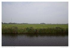 Impression from the Netherland