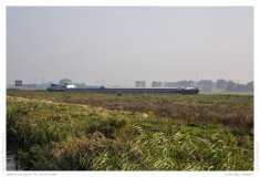 Impression from the Netherland