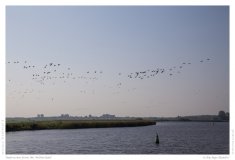 Impression from the Netherland