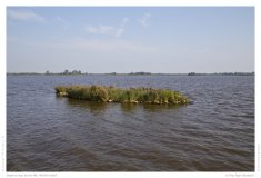 Impression from the Netherland