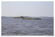Impression from the Netherland