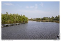 Impression from the Netherland