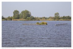 Impression from the Netherland