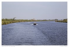 Impression from the Netherland