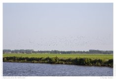 Impression from the Netherland