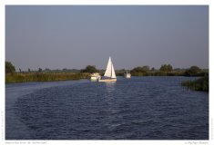 Impression from the Netherland