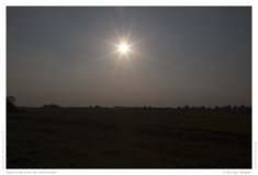 Impression from the Netherland