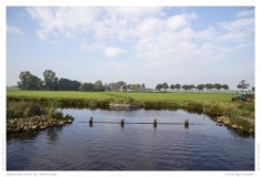 Impression from the Netherland