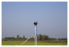 Impression from the Netherland