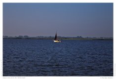 Impression from the Netherland