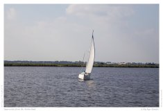 Impression from the Netherland