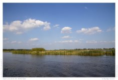 Impression from the Netherland