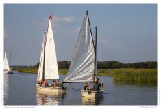 Impression from the Netherland