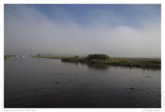 Impression from the Netherland