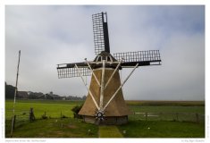 Impression from the Netherland