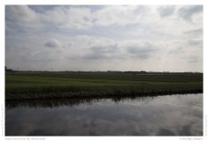 Impression from the Netherland