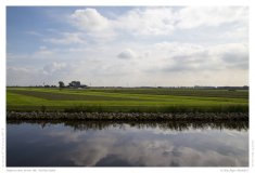 Impression from the Netherland