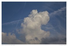Impression from the Netherland