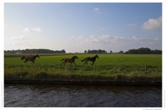 IMG_20140913_173932