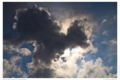 Impression from the Netherland