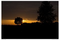 Burning Sky