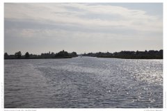 Impression from the Netherland