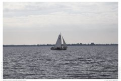 Impression from the Netherland
