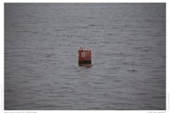 Impression from the Netherland
