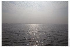Impression from the Netherland