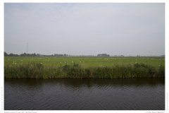Impression from the Netherland