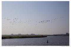 Impression from the Netherland
