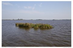 Impression from the Netherland