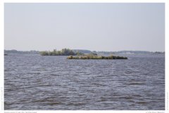 Impression from the Netherland