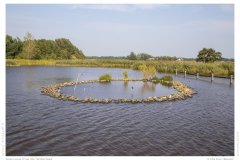 Impression from the Netherland