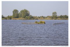 Impression from the Netherland
