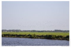 Impression from the Netherland