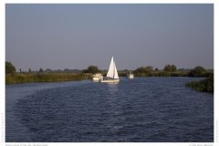 Impression from the Netherland