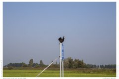 Impression from the Netherland