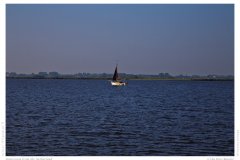 Impression from the Netherland